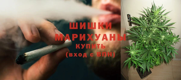 ПСИЛОЦИБИНОВЫЕ ГРИБЫ Аркадак