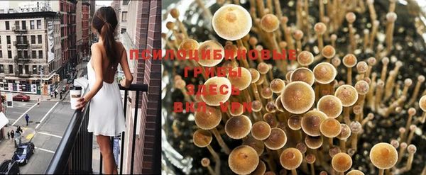 прущая мука Бердск