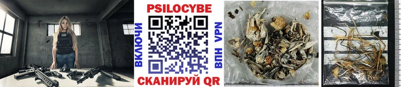 закладки  Бузулук  MEGA зеркало  Галлюциногенные грибы Psilocybe 