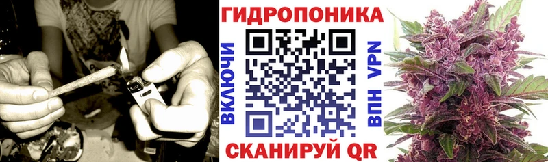 Конопля план  купить закладку  Бузулук 